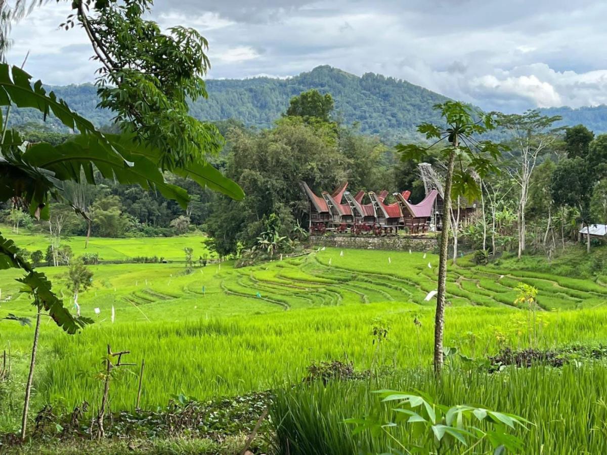 Homestay The Singki Family Rantepao